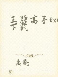 王牌高手txt下载