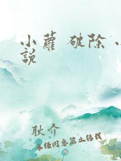 小萝 破除 小说