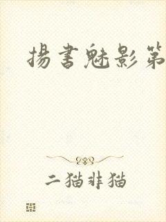 扬书魅影第三部