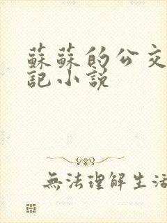 苏苏的公交车日记小说