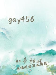 gay456