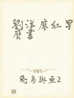 刘洋廖红星是什么书