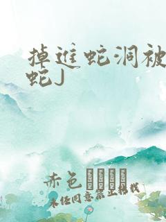 掉进蛇洞被一堆蛇J