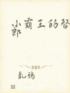 小霸王的替婚玉郎