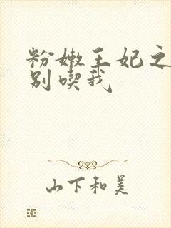 粉嫩王妃之殿下别吃我