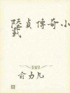 陆贞传奇小说下载