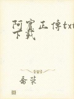 阿宾正传txt下载