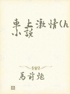 车上激情(h)小说