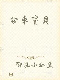 公车宝贝