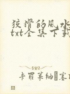 狡猾的风水相师txt全集下载