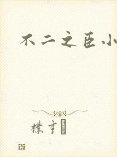 不二之臣小说