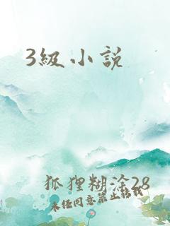 3级小说