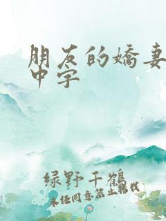 朋友的娇妻hd中字