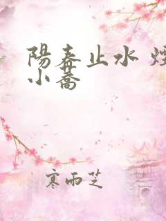 阳春止水 烟树小荞