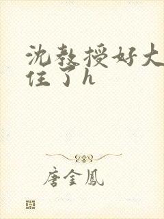 沈教授好大含不住了h