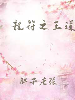 龙符之王道天下