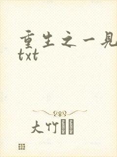 重生之一见倾心txt