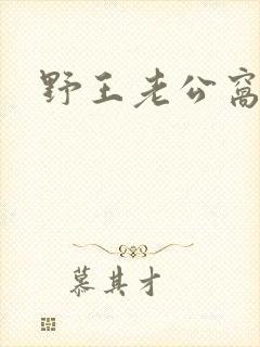 野王老公窝