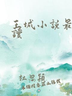 王城小说最近阅读