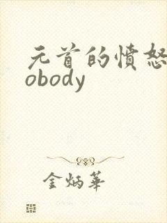 元首的愤怒之nobody