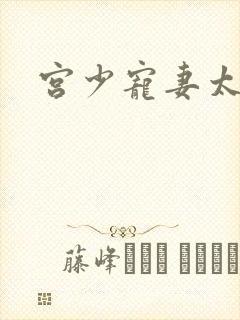 宫少宠妻太凶猛