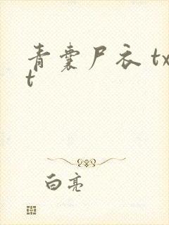 青囊尸衣 txt