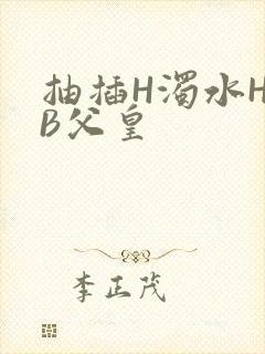 抽插H浊水H嫩B父皇