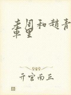 老周和赵青在货车里