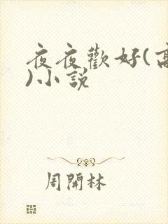 夜夜欢好(高h)小说