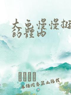 大龟慢慢挺进我的体内