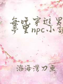 每晚穿进男神的梦里npc小说