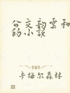 公交韵云和小健的小说