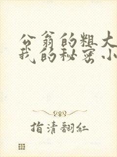 公翁的粗大放进我的秘密小说