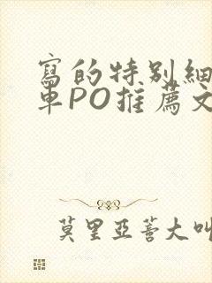 写的特别细的开车PO推荐文