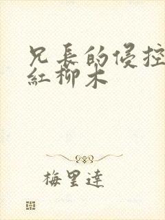 兄长的侵控by红柳木