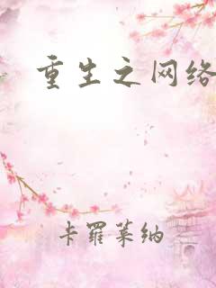 重生之网络大亨