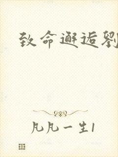 致命邂逅刘小寐