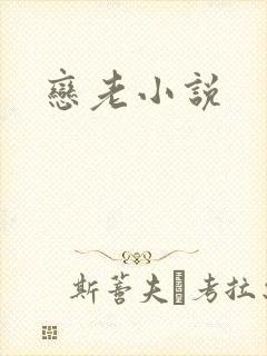 恋老小说