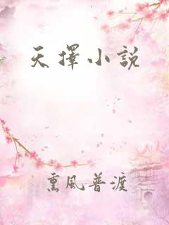 天择小说