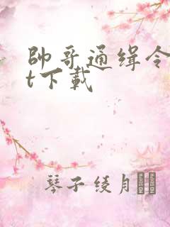 帅哥通缉令txt下载