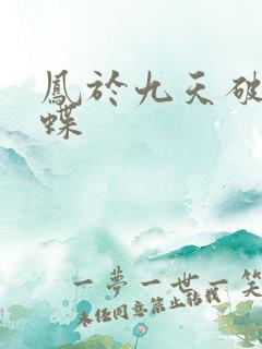 凤于九天破茧成蝶