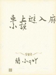 车上进入麻麻的小说