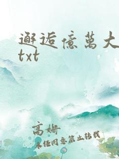 邂逅亿万大人物txt