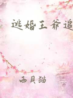 逃婚王爷追逃妃
