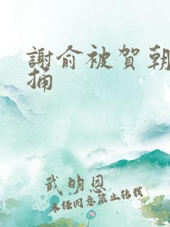 谢俞被贺朝站着捅