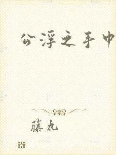 公浮之手中字5