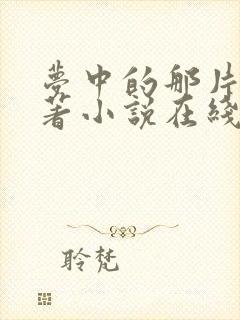 梦中的那片海原著小说在线阅读