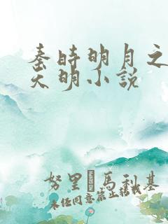 秦时明月之夜尽天明小说