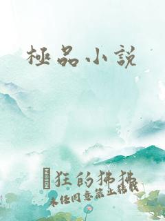 极品小说