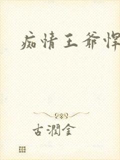 痴情王爷悍王妃